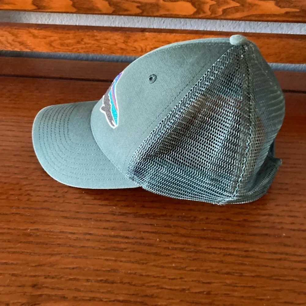 Patagonia Fitz Roy Trout Ball Cap Hat